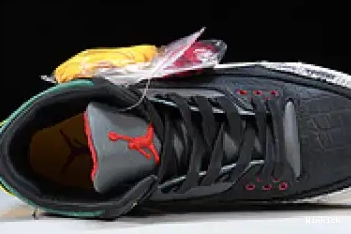 CV3583-003 3 “ANIMAL SE INSTINCT JORDAN AIR 2.0” 0619